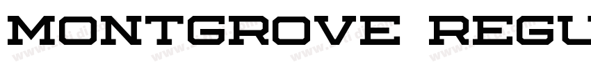 Montgrove Regular字体转换